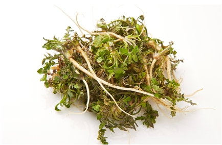 냉이: 봄의 건강한 보물