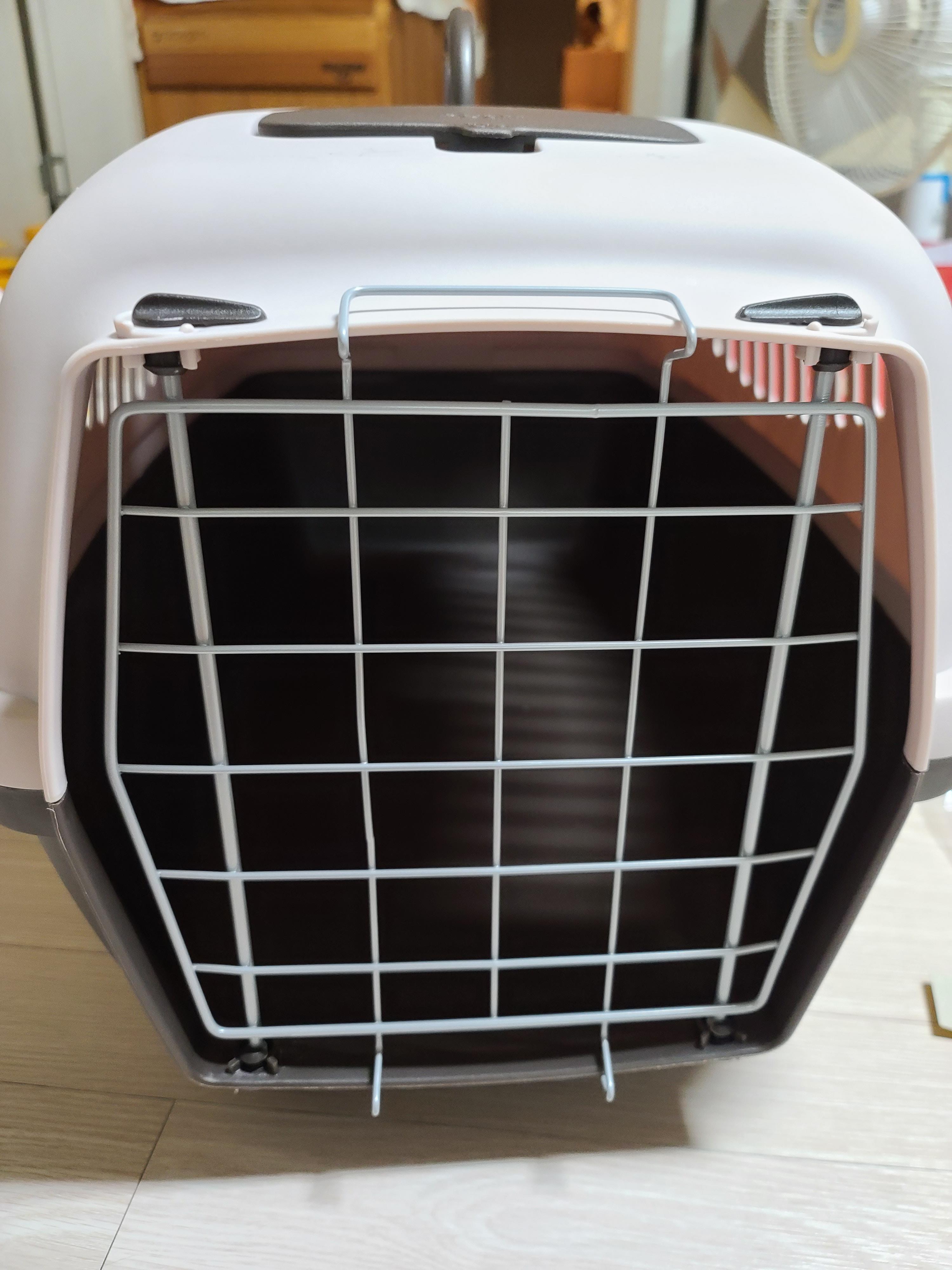 새 이동장이 왔다. 고양이들 총출동!