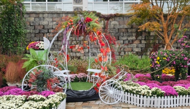 용인/새로운/인기/핫플/용/자작나/숲