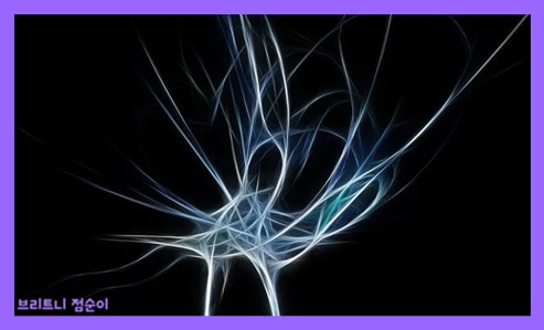 항산화 작용이란 사진