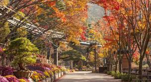 화담숲 모노레일