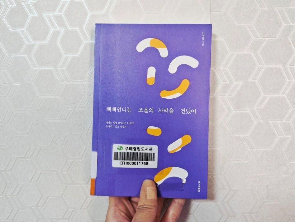 삐삐언니는-조울의-사막을-건넜어-표지
