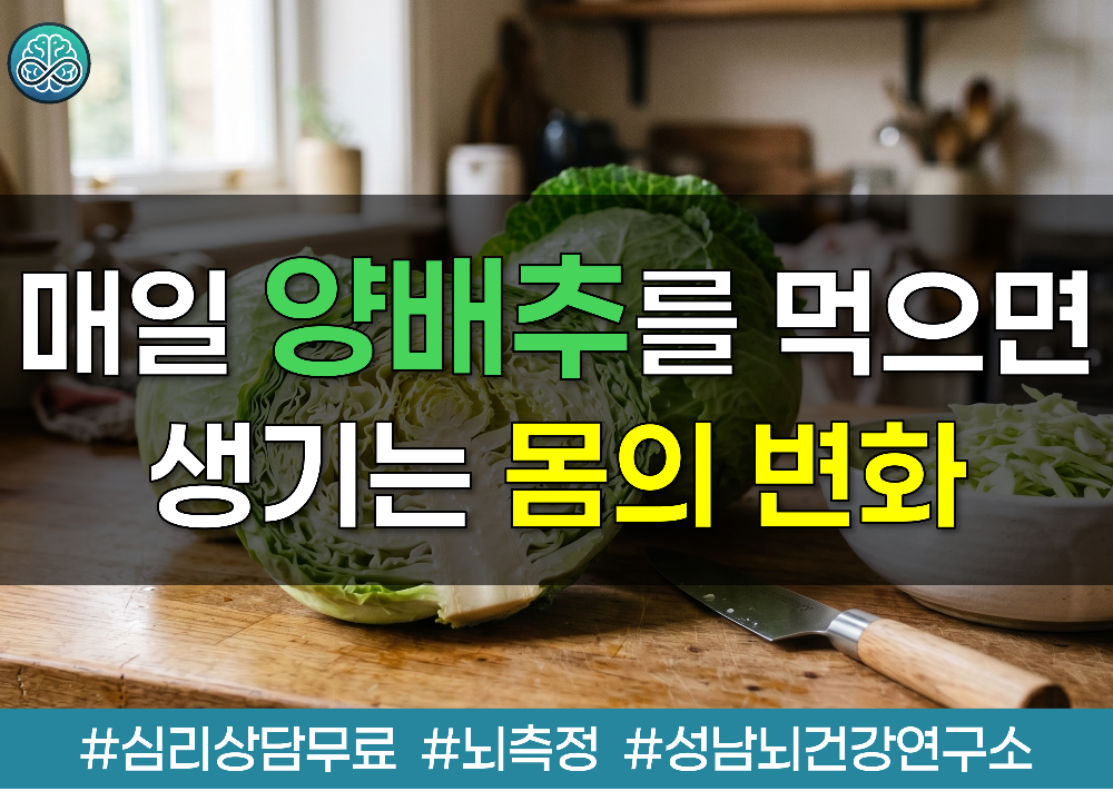 매일 양배추를 먹으면 생기는 몸의 변화