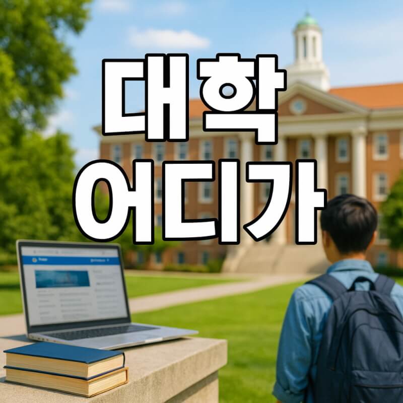 대학 어디가 사이트 성적입력부터 분석까지 수험생 필수템 관련사진