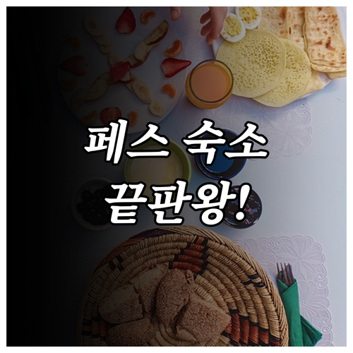 페스 여행 전통 리야드와 현대식 럭셔..
