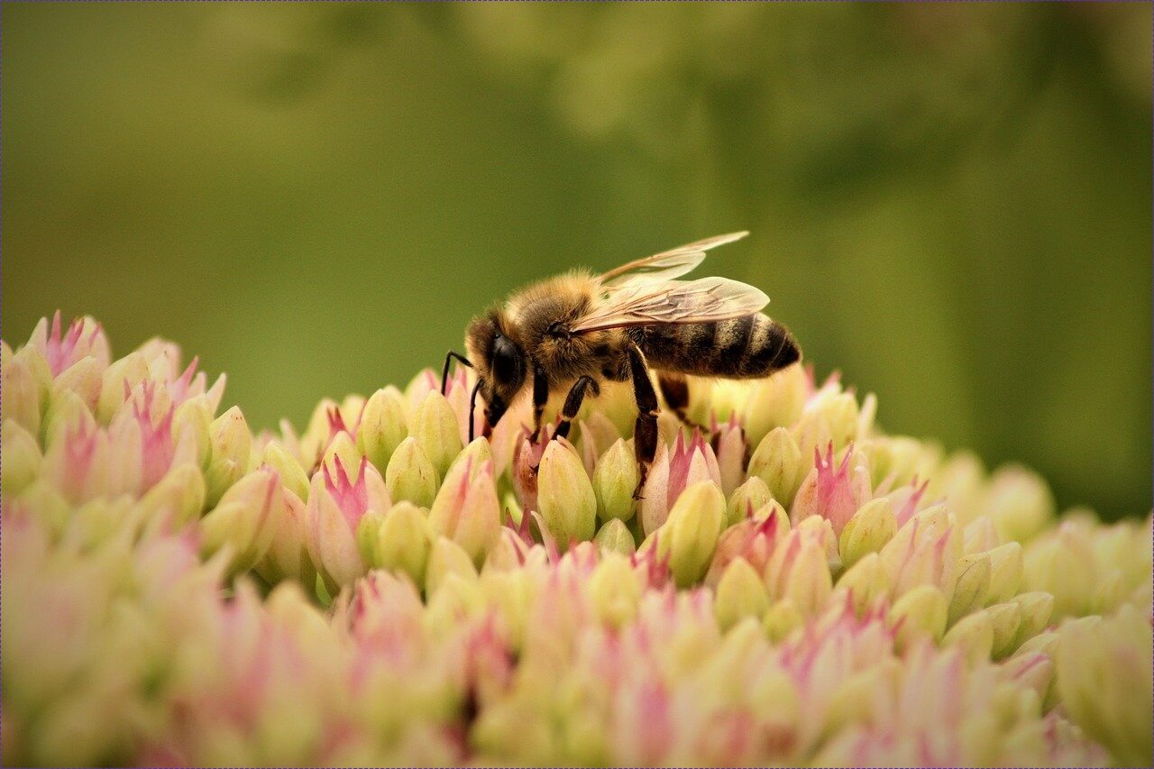 농협 적금 금리