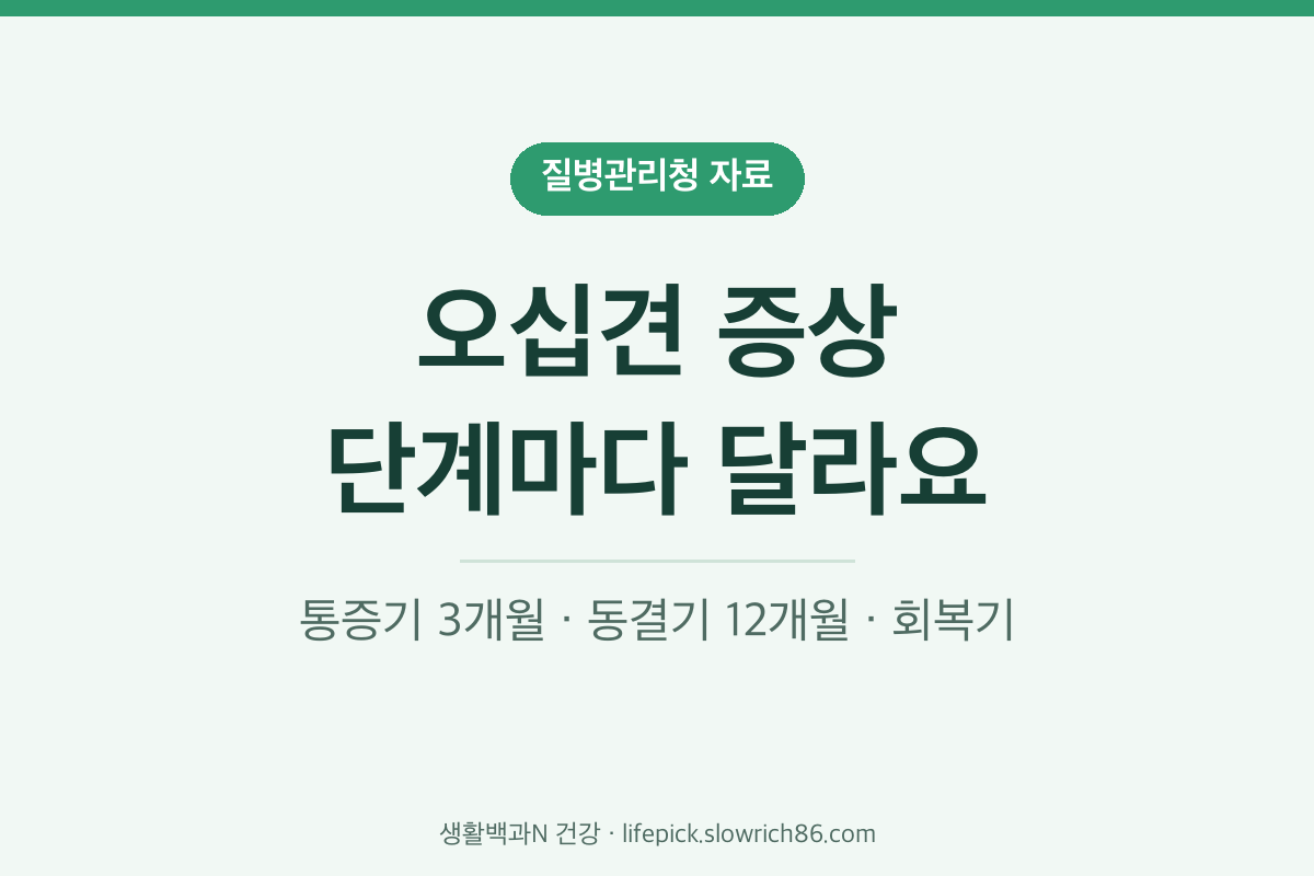 오십견 증상 통증기 동결기 회복기 3단계 질병관리청 자료