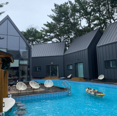 강아지 동반 여행지 추천