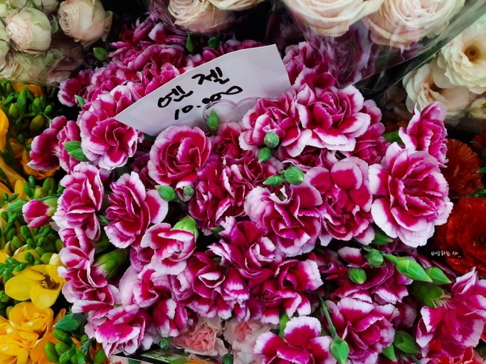 생생정보 : 연 매출 8억! 성공의 꽃을 피우다 - 백송이 전문점