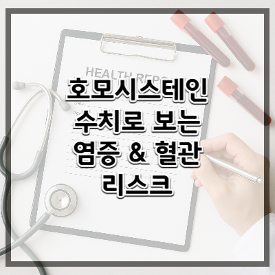 호모시스테인 수치로 보는 염증 & 혈관 리스크