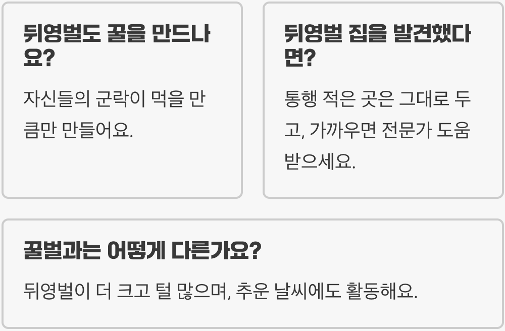 호박벌 vs 뒤영벌, 정말 같은 벌일까? 이름에 얽힌 진실과 오해