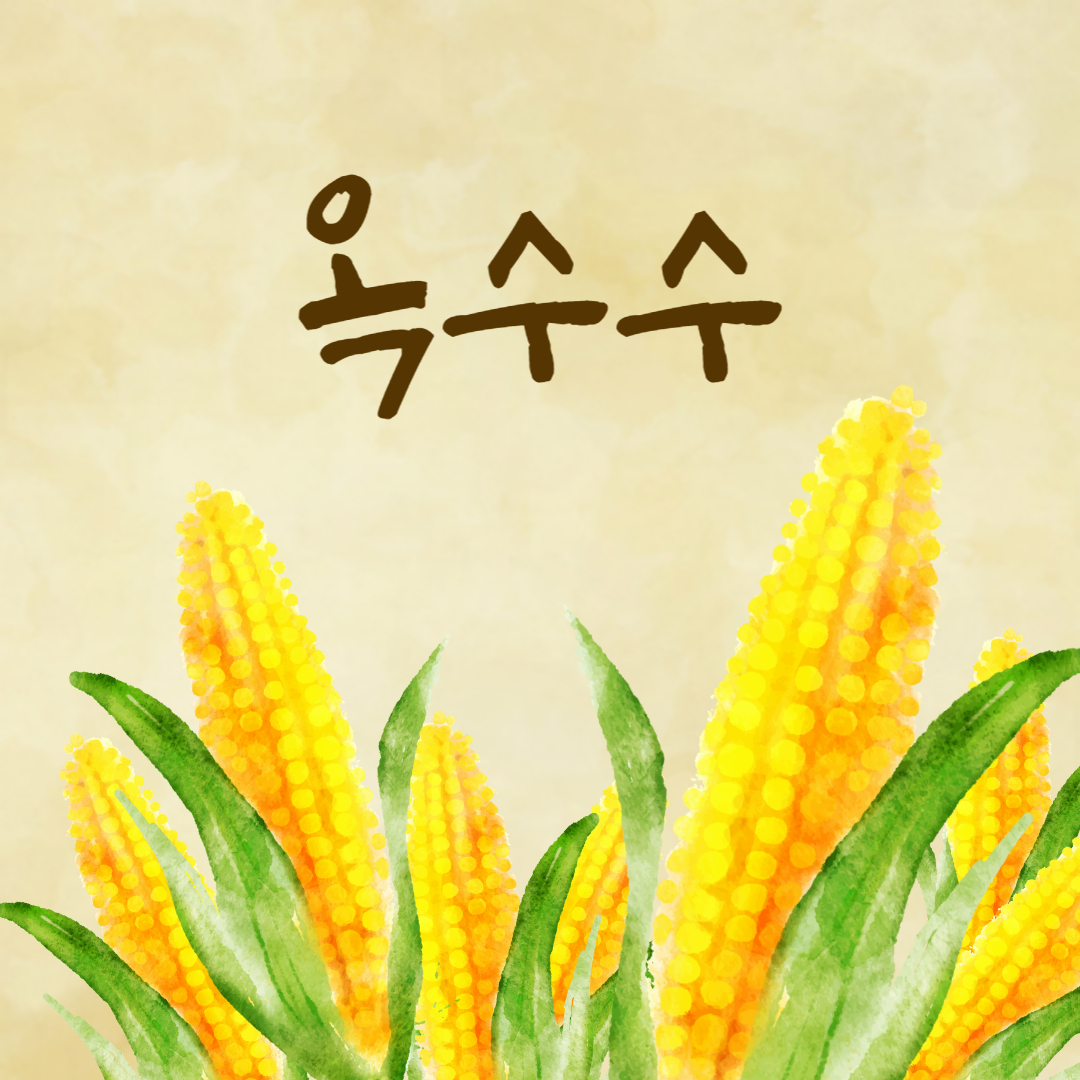 옥수수 corn 효능 부작용