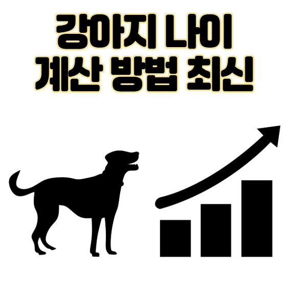 강아지 나이 계산 방법 최신 견종별 환산표 포함