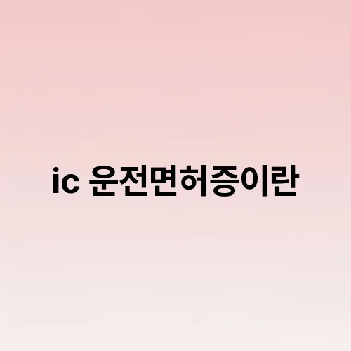 ic 운전면허증이란
