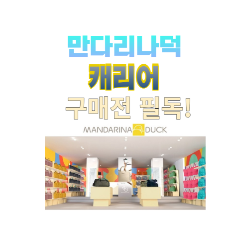 만다리나덕 캐리어