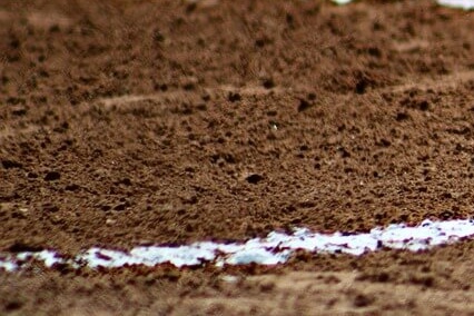 2025 KBO 프로야구 시범경기 일정 및 티켓 예매 방법 총정리