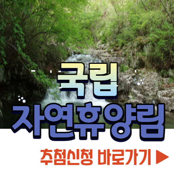 국립자연휴양림 예약