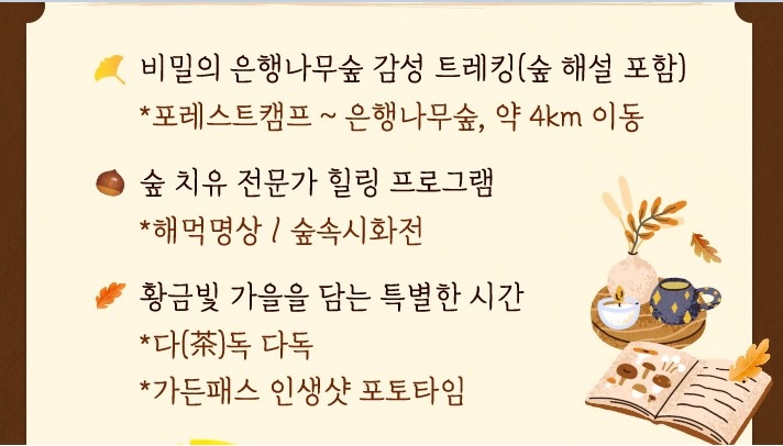 에버랜드 비밀의 은행나무 숲