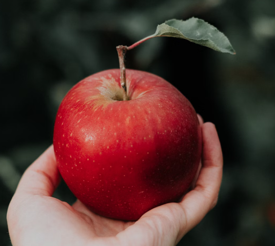 사과의 효능과 부작용 권장량