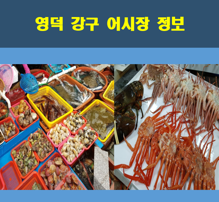 영구-강구시장-정보