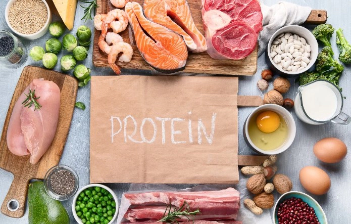 식물성 단백질 음식 9가지