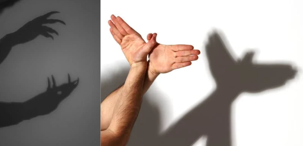 다양한 그림자 놀이 방법