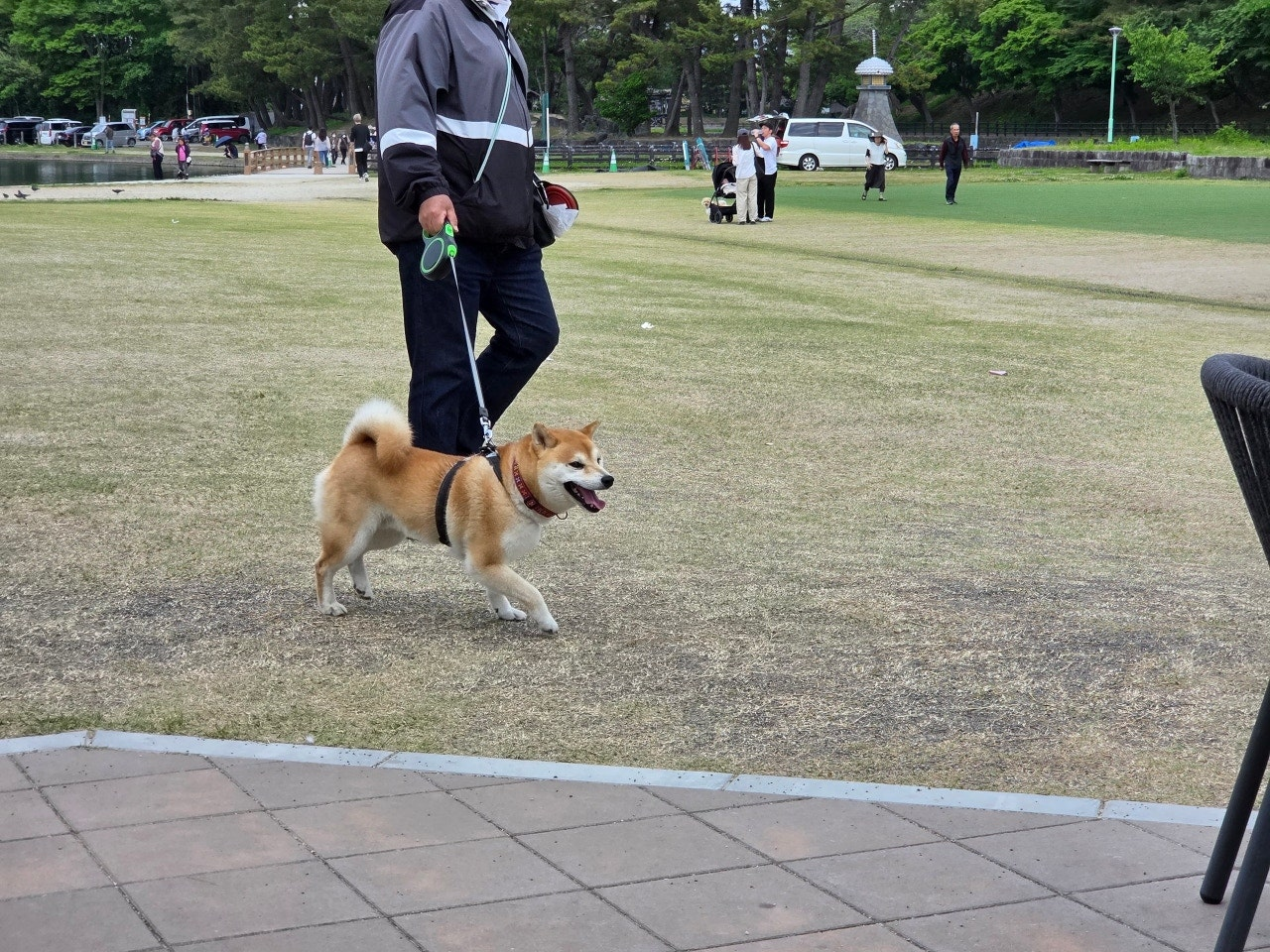 나고야역에서 쓰시마역 가는법&amp;#44;나고야역에서 츠시마역 가는법&amp;#44;후지마츠리&amp;#44;등나무축제&amp;#44;나고야 자유여행 &amp;#44;나고야근교여행&amp;#44;나고야소도시&amp;#44;나고야축제&amp;#44;일본축제