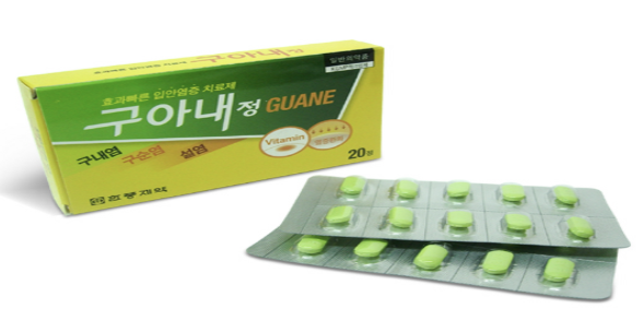구아내 정