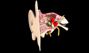 &amp;quot;물놀이 후 귀 통증&amp;#44; 방치하면 중이염까지&hellip; 부모가 알아야 할 귀 건강 수칙&amp;quot;