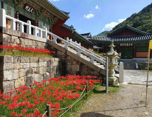 불갑사