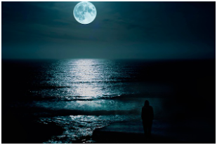 달빛 아래 마음의 위로를 얻는 시간