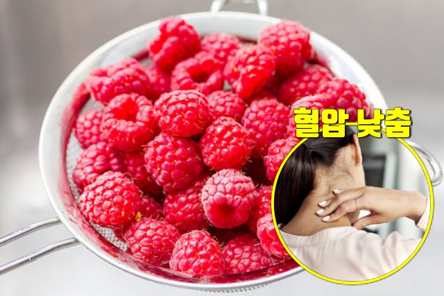 고혈압에 좋은 음식,라즈베리 효능,건강,팁줌