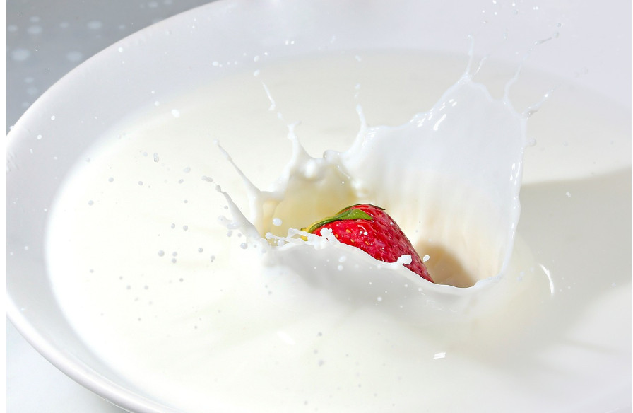 국내산 분유 장점과 단점 (보관, 유통, 안전성)