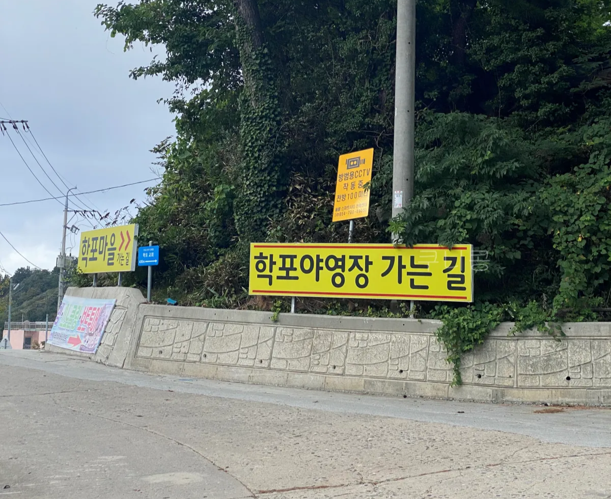 울릉도-추석가족여행-1일차-학포야영장-근처-감성-화덕피자-커피밴