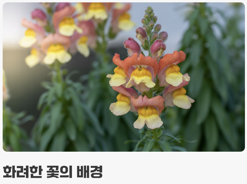 길쭉하고 단정한 잎사귀