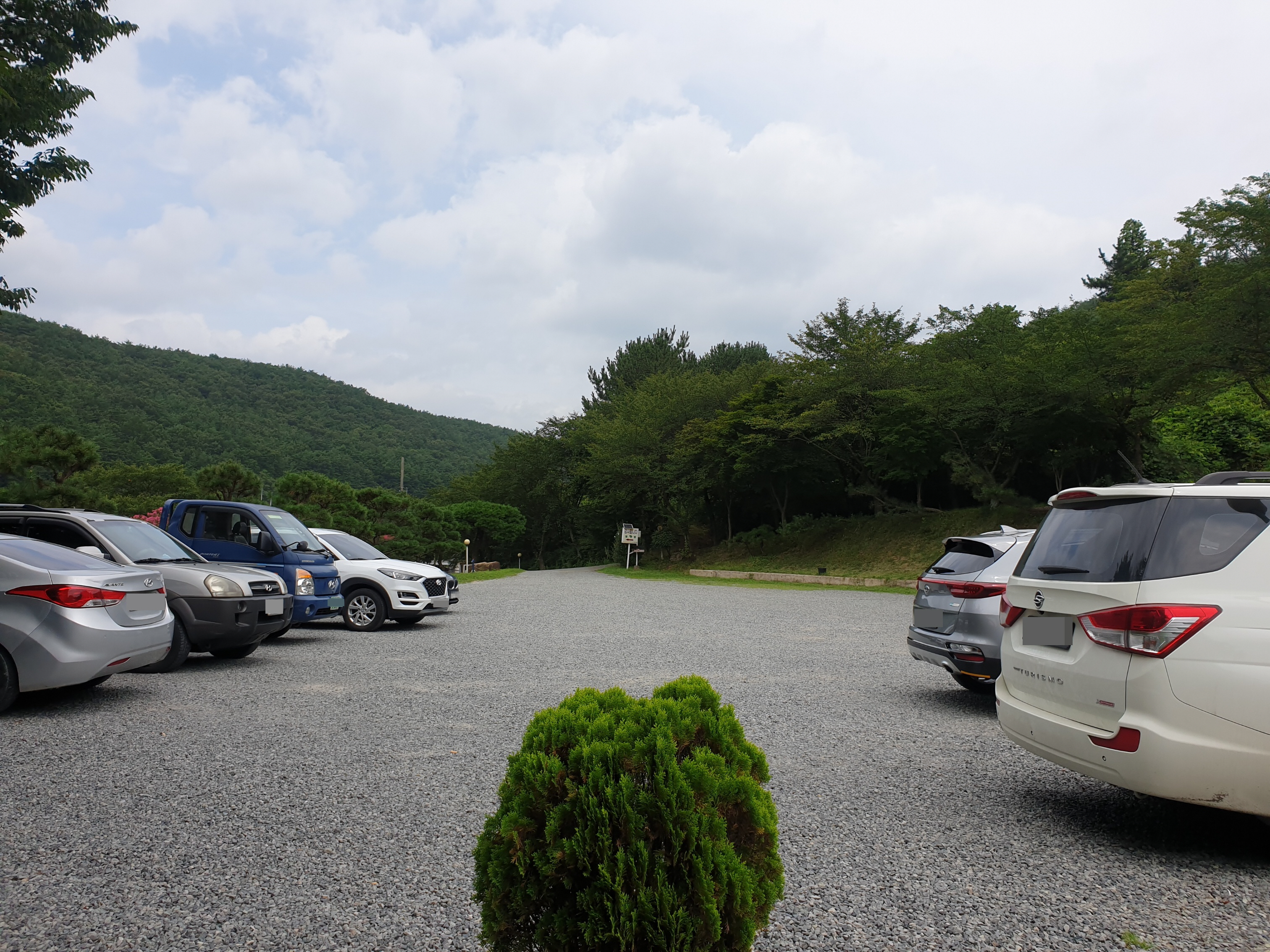 웰빙하우스 주차장