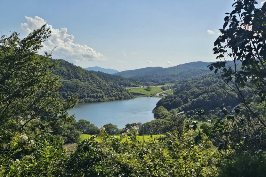 특색 있고 아름다운 민간 정원 30선 추천 여행 - 18. 순천 화가의 정원산책