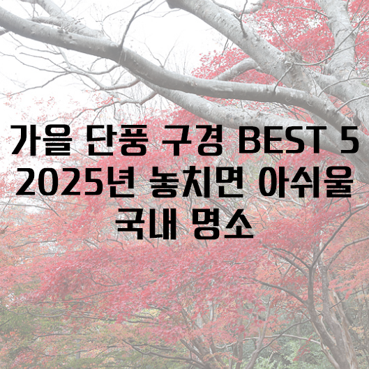 가을 단풍 구경 BEST 5 &mdash; 2025년 놓치면 아쉬울 국내 명소