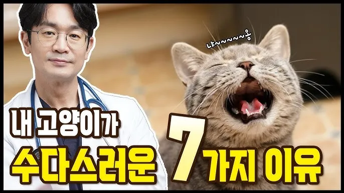 고양이 수다스러운 이유 7가지 행동 심리_1