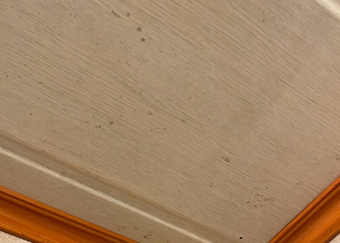 화장실 곰팡이4