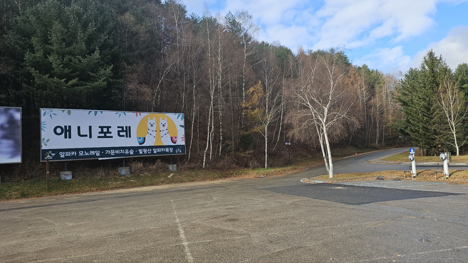 [24.11월] 아이와 평창 #1 - 모나 용평리조트 애니포레🏔️