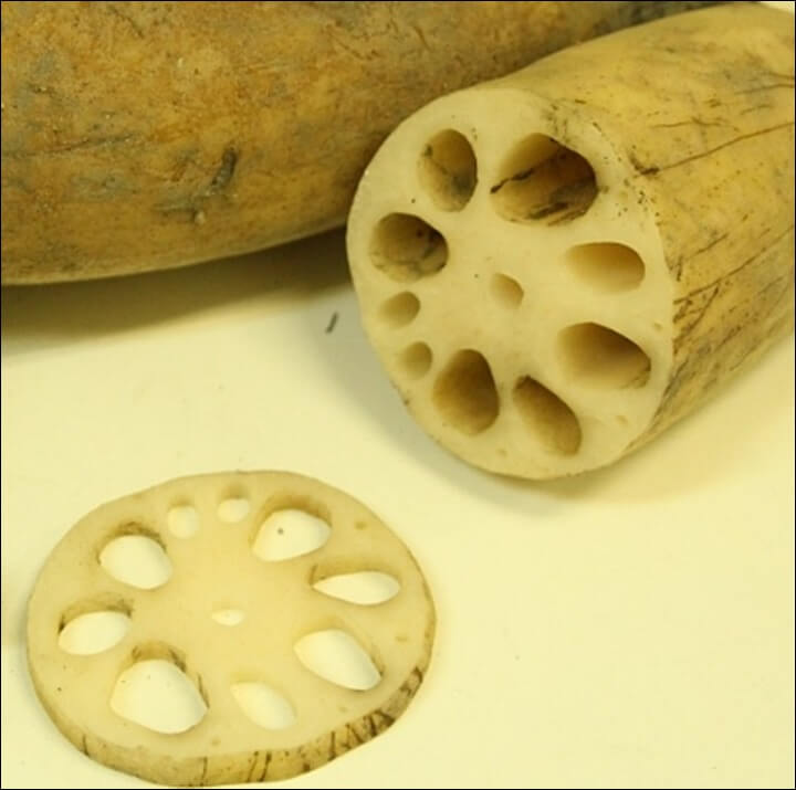 연근 효능 면역력