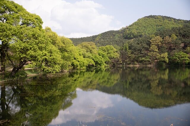 운문산 자연휴양림