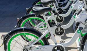 티머니고 마일리지로 서울 버스요금 절약하기