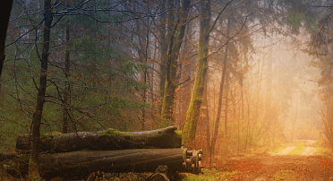 9월 인사말 모음집