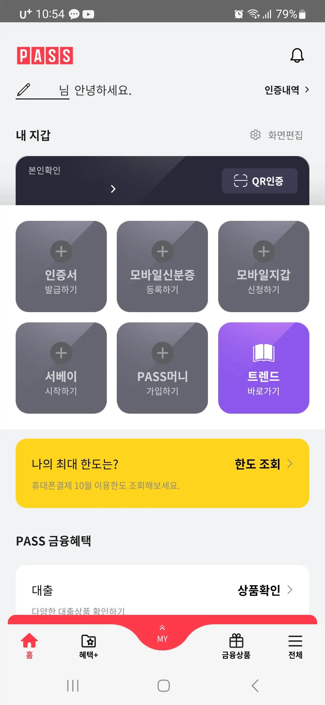 패스 홈 화면 접속