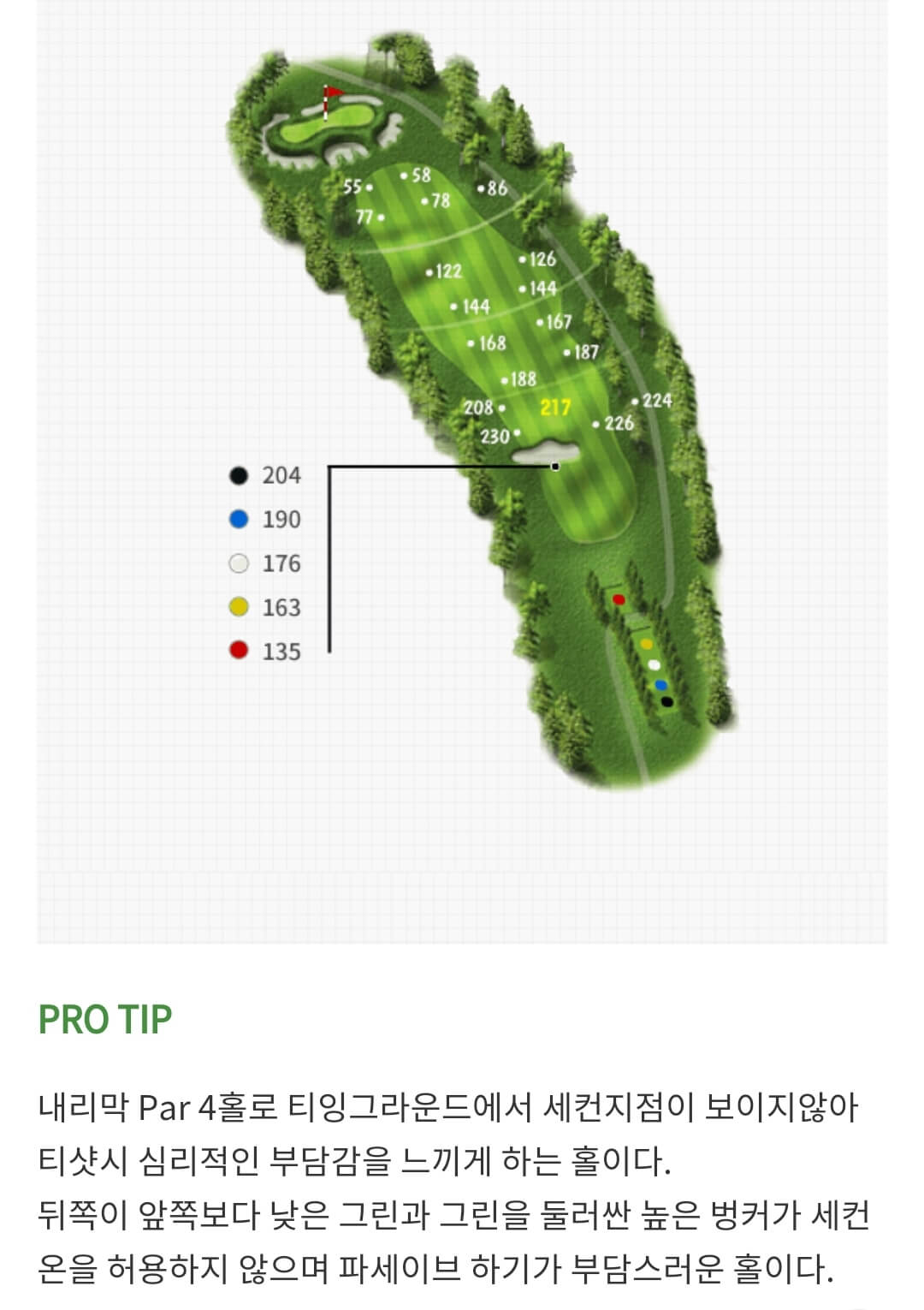 솔모로 컨트리클럽 체리코스 08