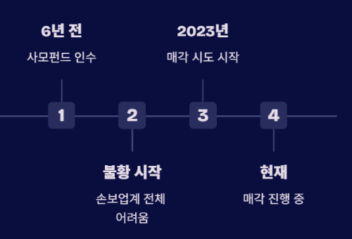 보험사 매각&amp;#44; 내 실손보험 지금 갈아타야 할까?