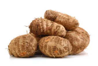 토란 심는시기 재배법 파종시기_33