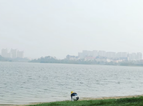 스트레스 날리는 물멍